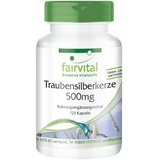 Fairvital Traubensilberkerze Black Cohosh Kapseln 120 St.