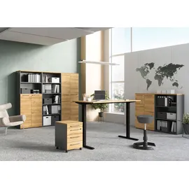 Germania Agenda Home, 4236-564 grafit, grandson-eiche 80,0 x 40,0 x 197,0 cm