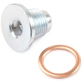 Elring Verschlussschraube, Ölwanne