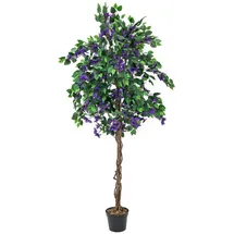 Europalms Bougainvillea, lavendel, 150cm
