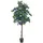 Europalms Bougainvillea, lavendel, 150cm