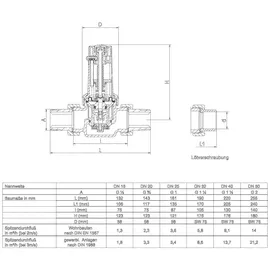 SYR Druckminderer 315 0315.25.000 1", 3,6 m