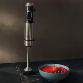 Zeegma 5 in 1 Stabmixer