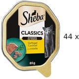 Mars Katze Classics in PasteGeflügel Cocktail Nassfutter 44 x 85 g