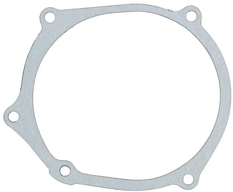 Guarnizione del coperchio dell'alternatore WINDEROSA W816517