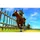 The Legend of Zelda: Ocarina of Time 3D (PEGI) (3DS)
