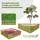 Floranica Beeteinfassung 100 x 40 cm 4 Stk. Natur