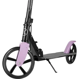 rosfix HM183 Rosa