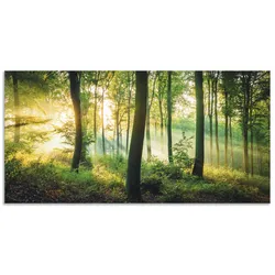 Wandbild ARTLAND "Herbst im Wald II", grün (farbe bild(er): grün), B:60cm H:30cm, Bilder, als Alubild, Outdoorbild, Leinwandbild, Poster, Wandaufkleber