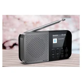 Sharp DR-P520 grau