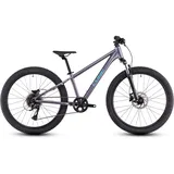 Cube Acid 240 Disc 2025
