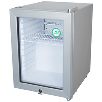 Minikühlschrank für Tankstelle - KühlWürfel - silber - GCKW25