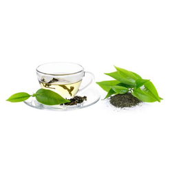 Rooibos Tee | Natur grün | 100g unfermentierter Bio Tee