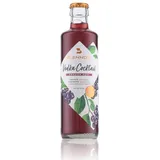 Blenndis Vodka Cocktail Swedish Muse 10,5% Vol. 0,25l