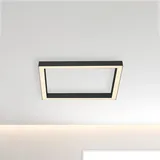 neuhaus pure® by paul neuhaus Neuhaus PURE LED-Deckenleuchte PURE-LINES Alu, Eisen, Stahl & Metall Grau Anthrazit 55 x cm