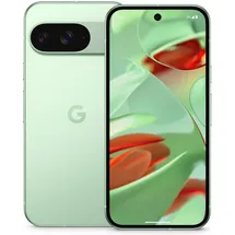 Google Pixel 9 128 GB Wintergreen	