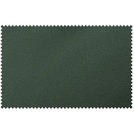 HIMOLLA Sessel 7418 Leder 81 x 111 x 95 cm Grün elektrisch