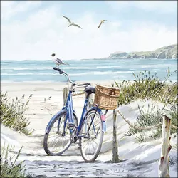 20 Servietten Papier 33x33cm 3-lagig - hochwertige Einweg Papierservietten Fahrrad Dünen Meer Möwe Küste maritim Sommer Strand Naturmotiv Tischdeko
