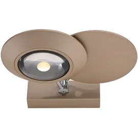 neuhaus pure Oculis (LBH 21x30x16 cm) braun