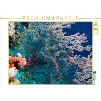 Calvendo Puzzle Gorgonie 1000 Teile Lege-Größe 64 x 48
