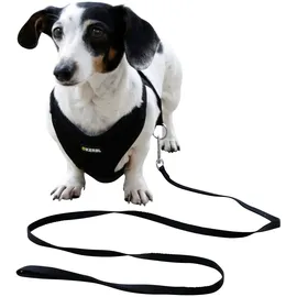 Kerbl Welpengeschirr mit Leine, schwarz, 24 - 44 cm/10 mm