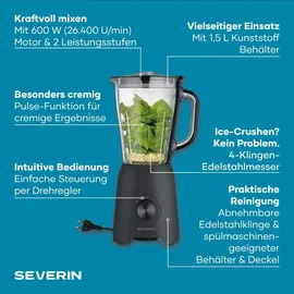 Severin SM 3722 Standmixer