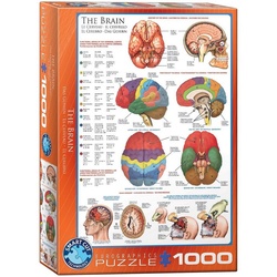 EUROGRAPHICS Puzzle 6000-0256 Das Gehirn 1000-Teile Puzzle, Puzzleteile bunt