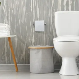 Relaxdays Toilettenpapierhalter, ohne Bohren, Silber