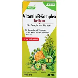 SALUS Pharma VITAMIN B Komplex Tonikum Salus Vitamine 250 ml 