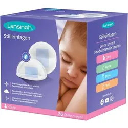 LANSINOH Stilleinlagen FSC 36 St