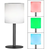 Fischer Leuchten LED Tischleuchte, Fernbedienung dimmbar USB H 30