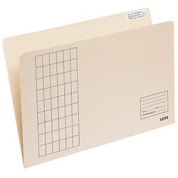 100 LEITZ Einstellmappen 2433 DIN A4 chamois