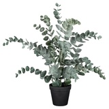 Gasper Eucalyptus im Topf 53 cm - Kunstpflanzen
