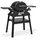 Weber Q 1200N mit Stand black