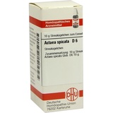 DHU-Arzneimittel ACTAEA SPICATA D 6