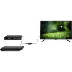 Conrad Electronic SE SpeaKa Professional - Video/Audio-Schalter - 2 x HDMI
