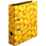maX.file A4 8cm, Zitronen