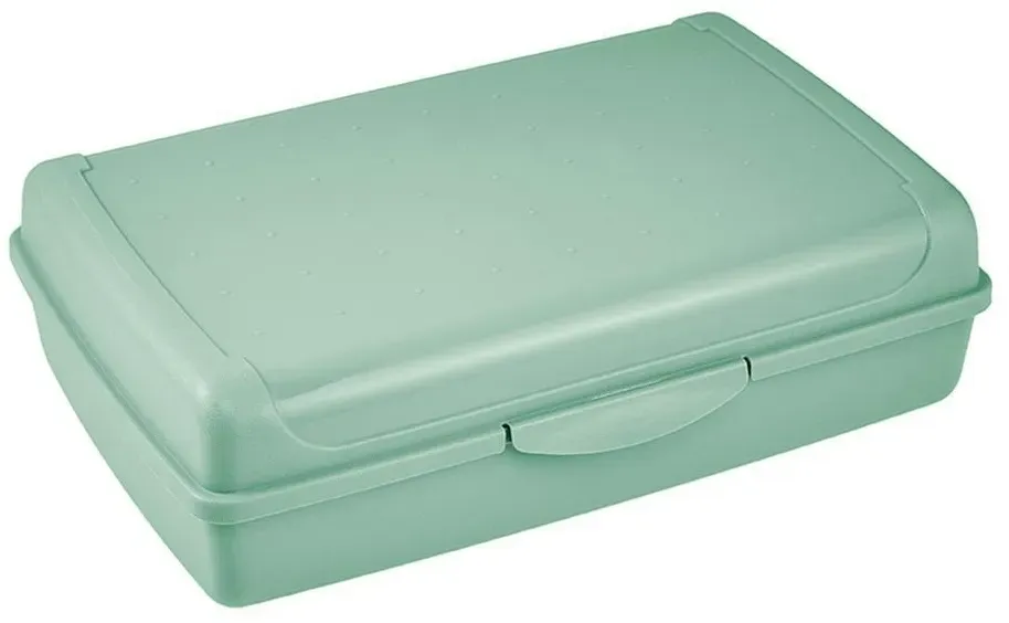 Preisvergleich Produktbild Keeeper  - Aufbewahrungsbox 30x20x8,5cm Nordic Green