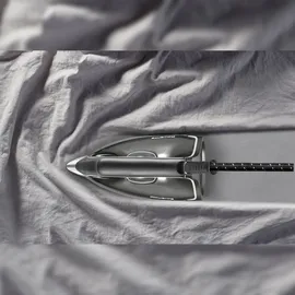 Rowenta Perfect Steam Pro DG8626