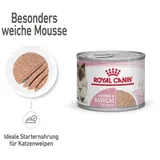 Royal Canin Katzenfutter nass