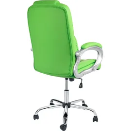 TPFLiving Denver Kunstleder Grün