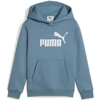 Puma Hoodie Coolblue 110