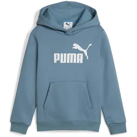 Puma Hoodie Coolblue 110