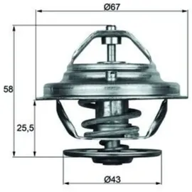 mahle Thermostat, Kühlmittel