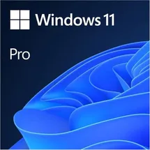 Microsoft Windows 11 Pro FR