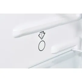 GGV Exquisit KS85-V-091E Kühlschrank (75 l, 843 mm hoch, Inoxlook)