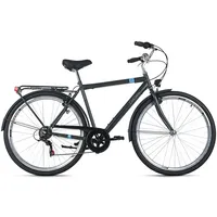 Dacapo Ravenna 6 28 Zoll RH 53 cm grau