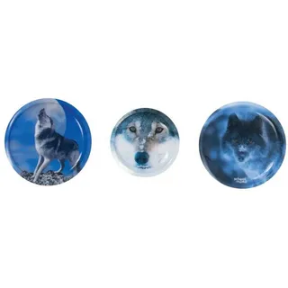 School-Mood 3er Patchy-Set Felix Wolf