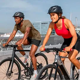 Ergon GS1-L Evo Fahrradgriff | Moondust Grey | L