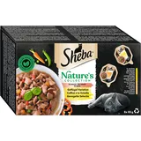 Sheba Nature`s Collection in Sauce - Feinstes Katzennassfutter in der Schale - Geflügel Variation - 32 x 85g